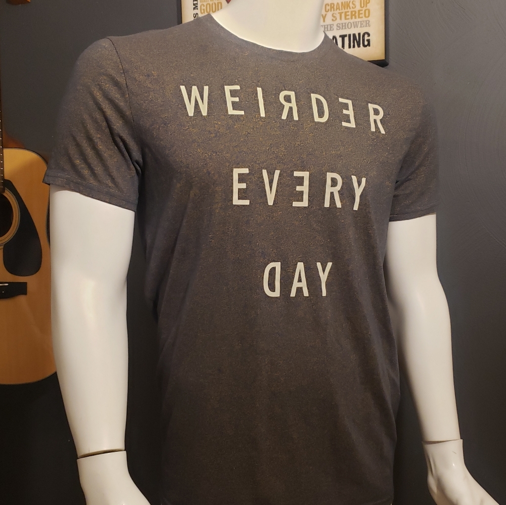Hollister Graphic T-Shirt